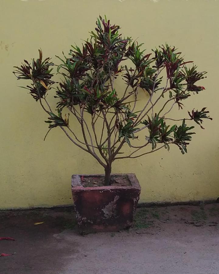 Sara House Guest house *